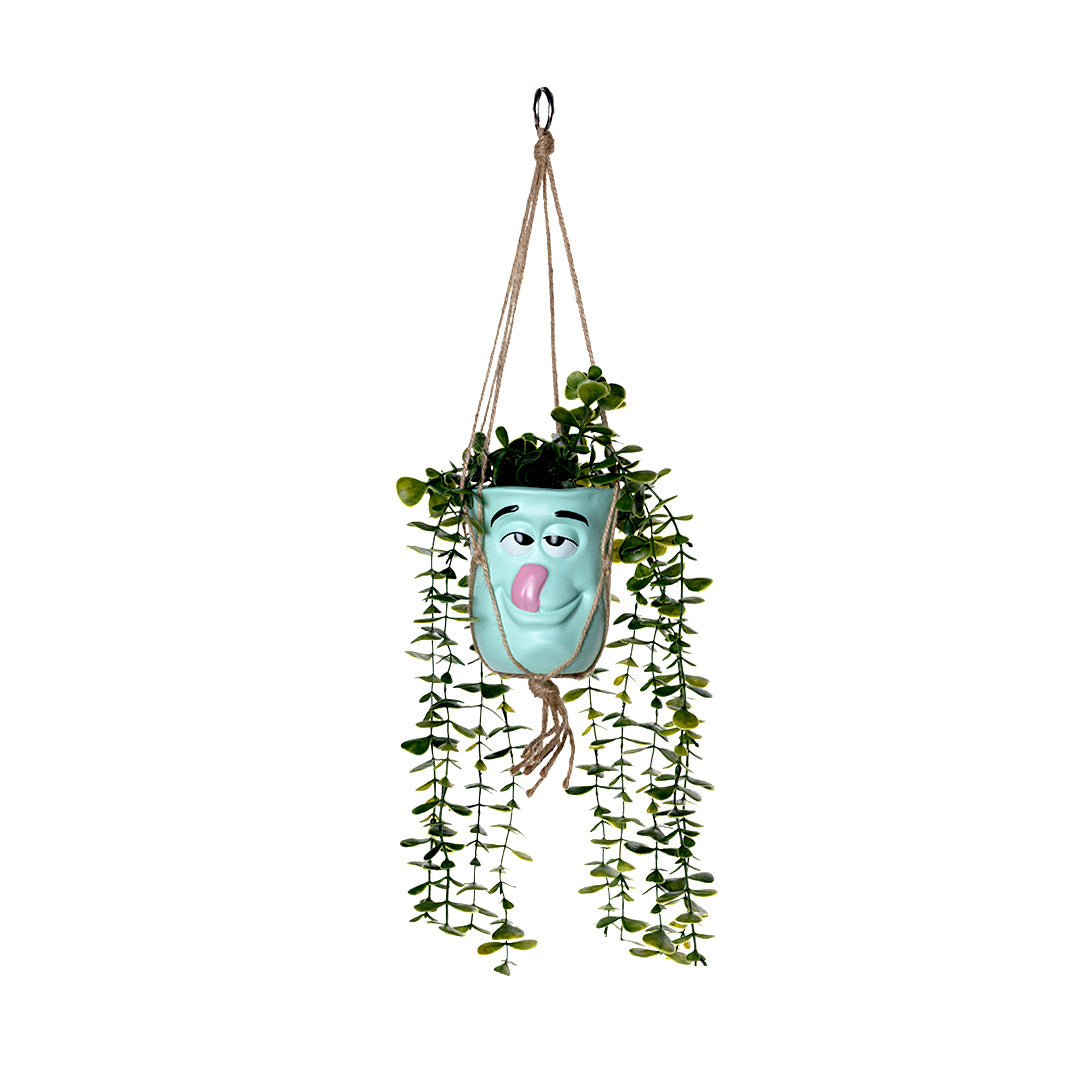 Hanging Flower Pots